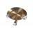 Mdc Foco Ecco Base 3F Medalla Hi 5-5413-44-01