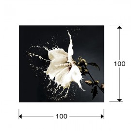 Foto Splash 100X100 719360