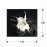 Foto Splash 100X100 719360