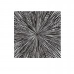 Fotografia Centrifugo 100x100 301565