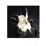 Foto Splash 100X100 719360