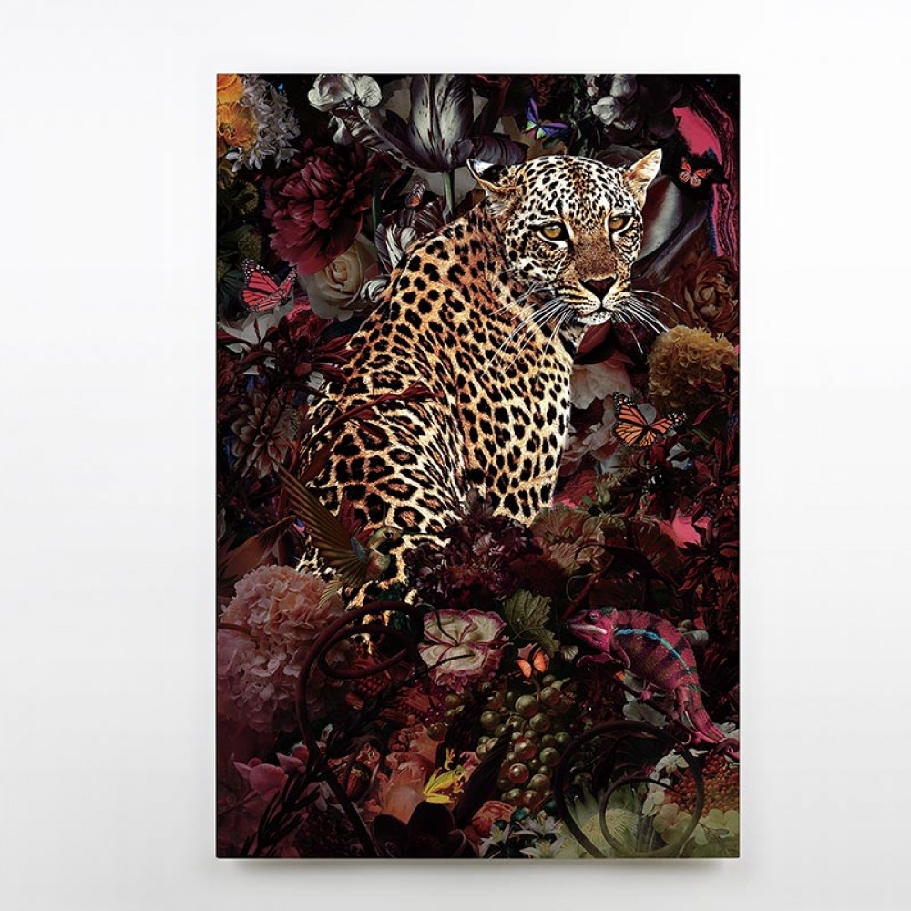 Fotografia Leopardo 80x120 753924