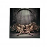 Foto Angel Caido 100X100 769932