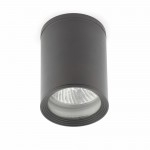 Faro Tasa Plafon Gris Oscuro 1L Par30 75W 70806
