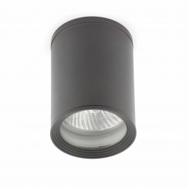 Faro Tasa Plafon Gris Oscuro 1L Par30 75W 70806