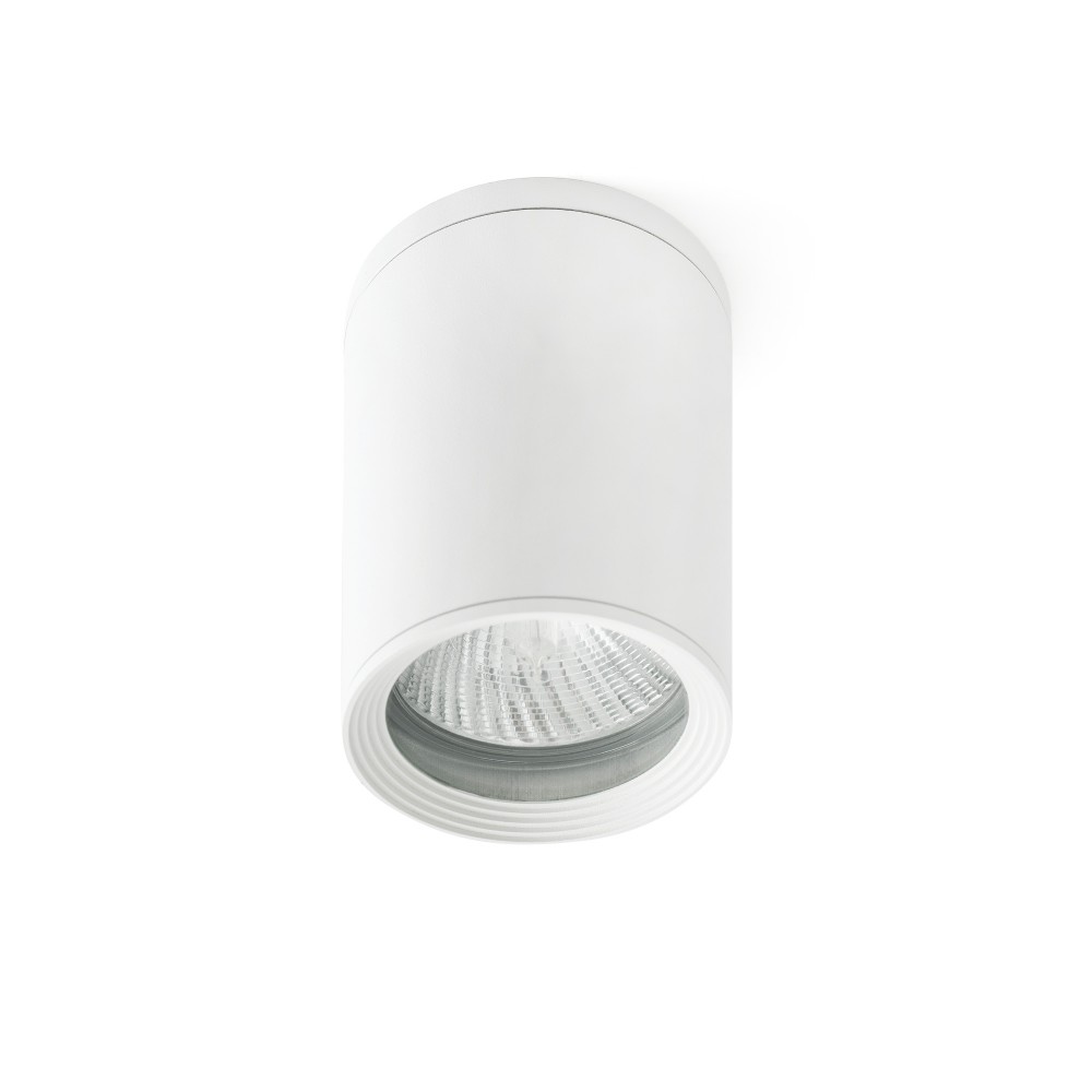 Faro Tasa Plafon Blanco 1L Par30 75W 70821